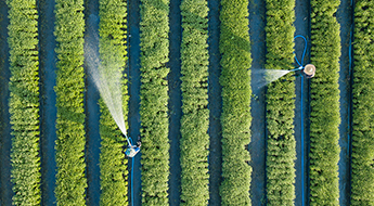 Aerial top view of farmers watering crops