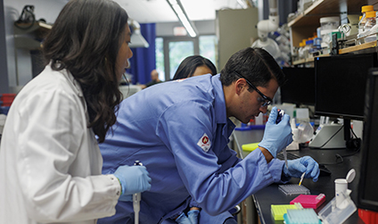 image of students working in a lab