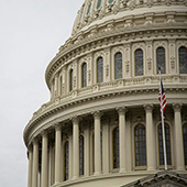 U.S. Capitol