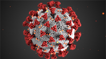 coronavirus