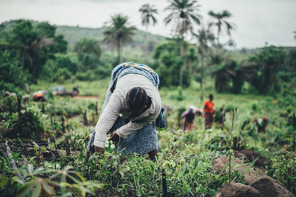 woman gathering food