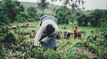 woman gathering food