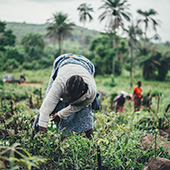 woman gathering food