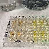 assay plate with reconstituted blood samples