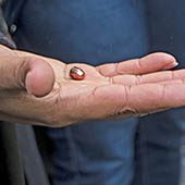 bullet casing in hand