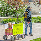 Child being pulled in wagon