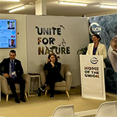 Sera Young at COP28