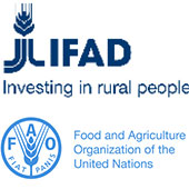 IFAD and FAO logo